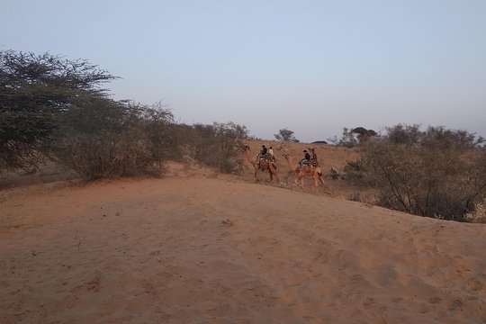 Tour image 12