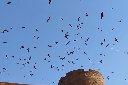 Tour image 6