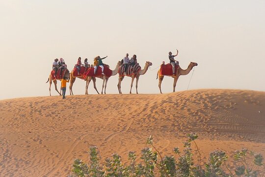 Tour image 6