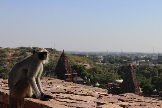 Tour image 5