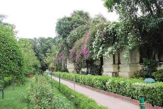 Tour image 4