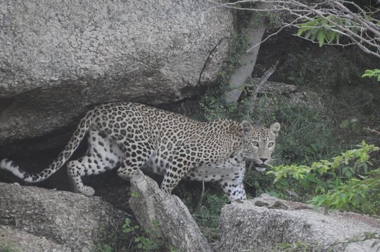Tour image 11